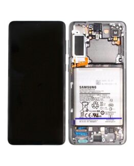 Samsung Galaxy S21 Plus 5G LCD-skärm + batteri - Phantom Silver